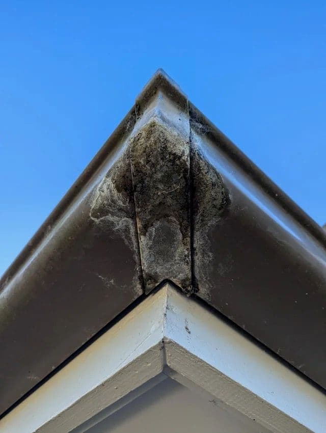 Leaky Strip Miter